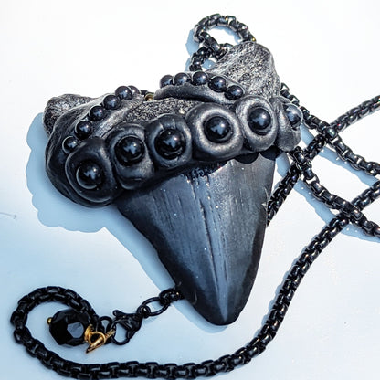 Real Megalodon Shark Tooth Fossil pendant Black Swarovski Pearls Unisex Statement Sugar Gay Isber 27 inch black chain