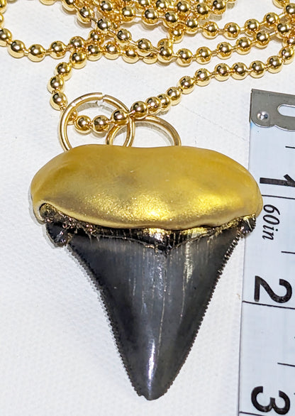 Shark Tooth Necklace found on the Titanic Pendant Gold 34" Ball Chain Unisex Beach Wedding