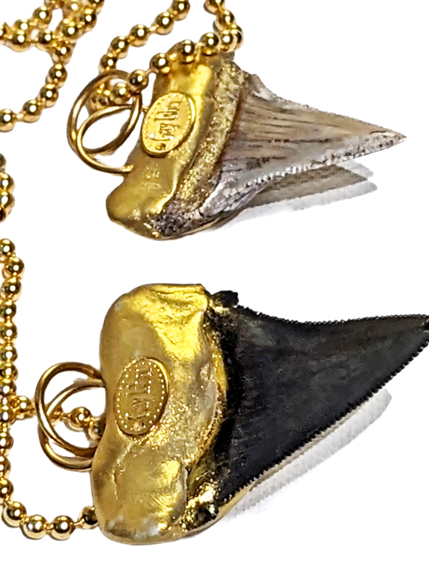 Shark Tooth Necklace found on the Titanic Pendant Gold 34" Ball Chain Unisex Beach Wedding