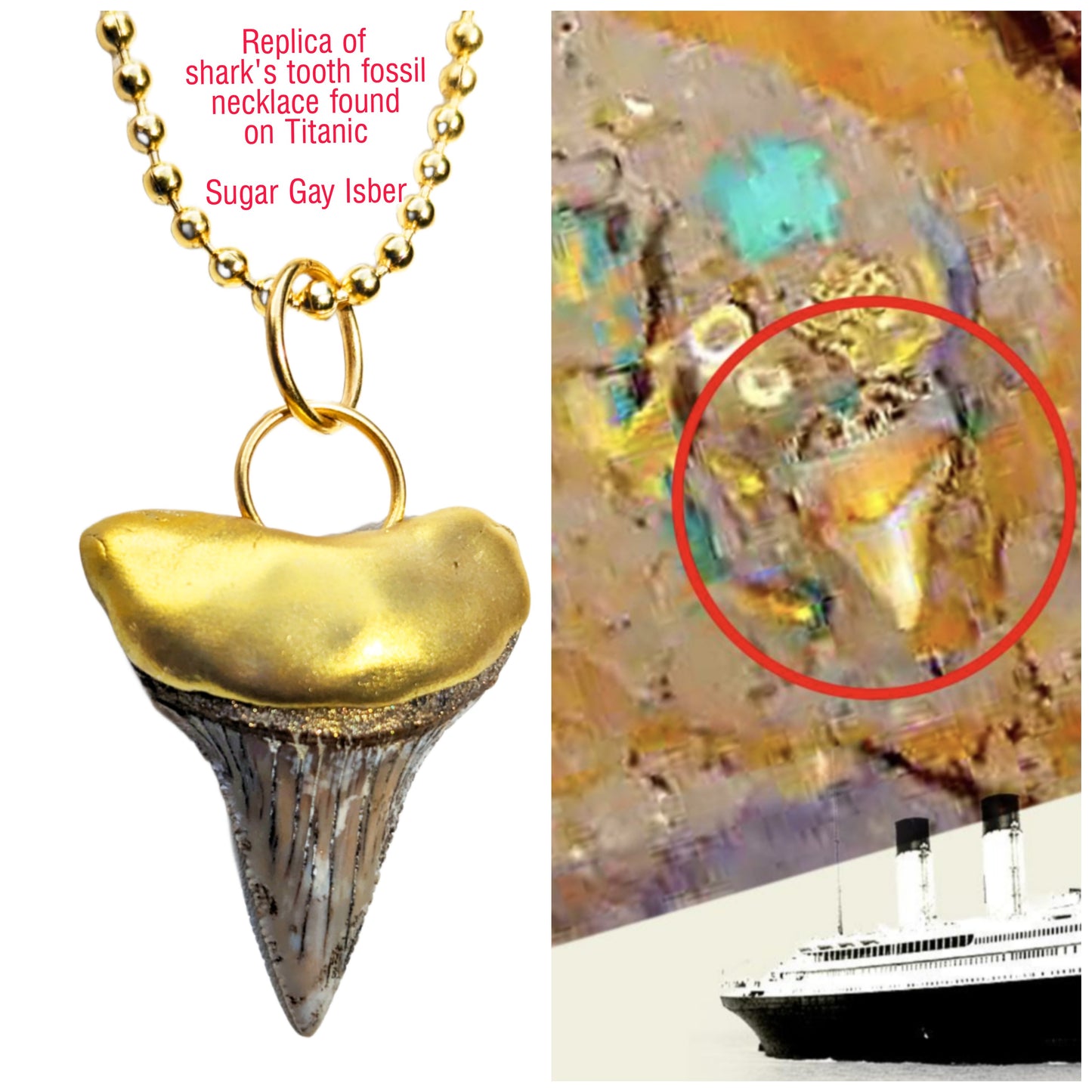 Shark Tooth Necklace found on the Titanic Pendant Gold 34" Ball Chain Unisex Beach Wedding