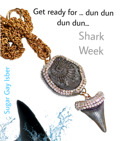 Grey Real Megalodon Shark Tooth+ Ammonite Fossil Pendant Unisex Beach Wedding Ocean Dentist Statement Sugar Gay Isber