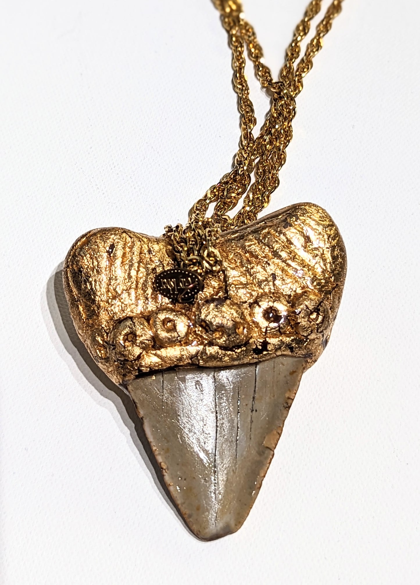 Shark Tooth Fossil Necklace Artisan Unisex Megalodon Gold Statement Sugar Gay Isber