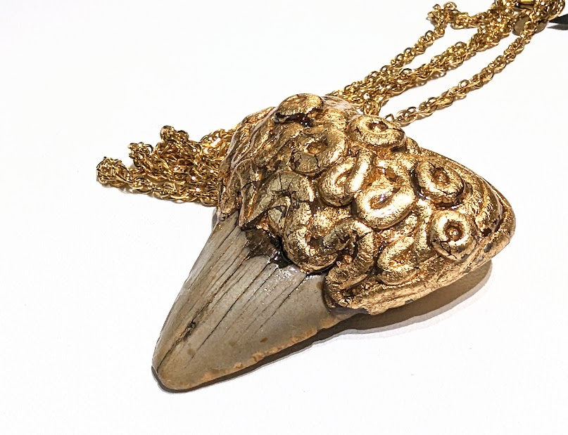 Shark Tooth Fossil Necklace Artisan Unisex Megalodon Gold Statement Sugar Gay Isber