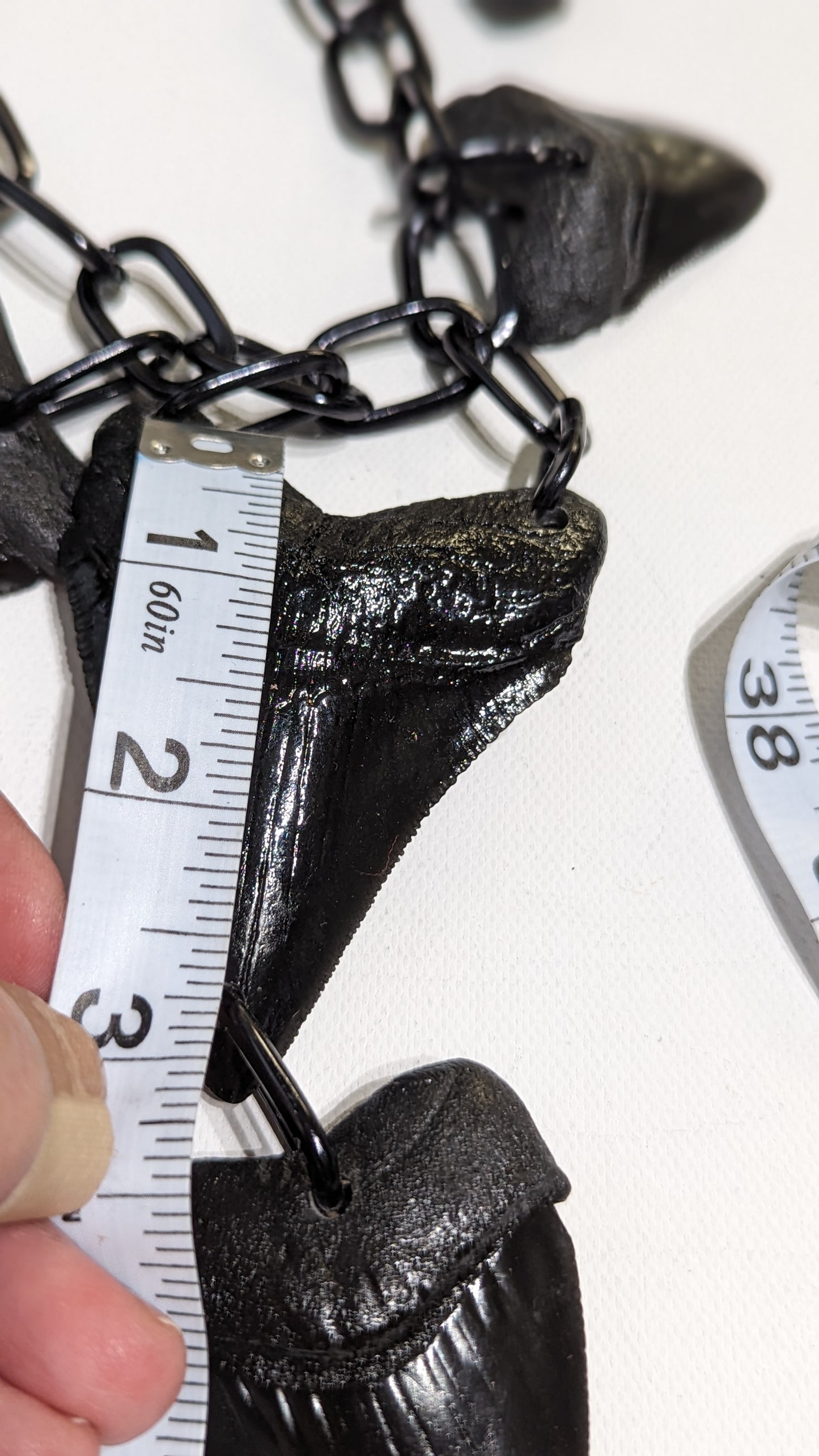 6 Black Shark Tooth Fossil Replicas Necklace Unisex Statement Sugar Gay Isber Statement