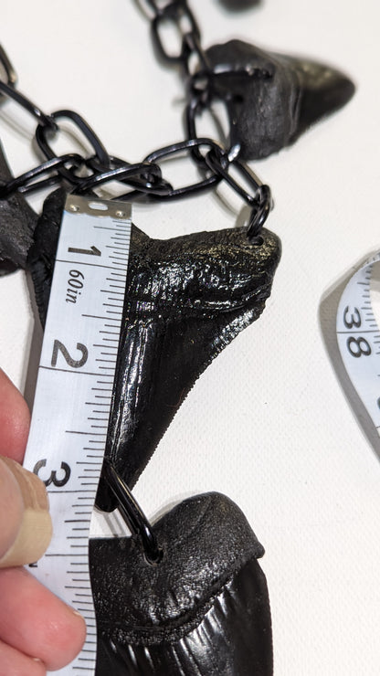 6 Black Shark Tooth Fossil Replicas Necklace Unisex Statement Sugar Gay Isber Statement