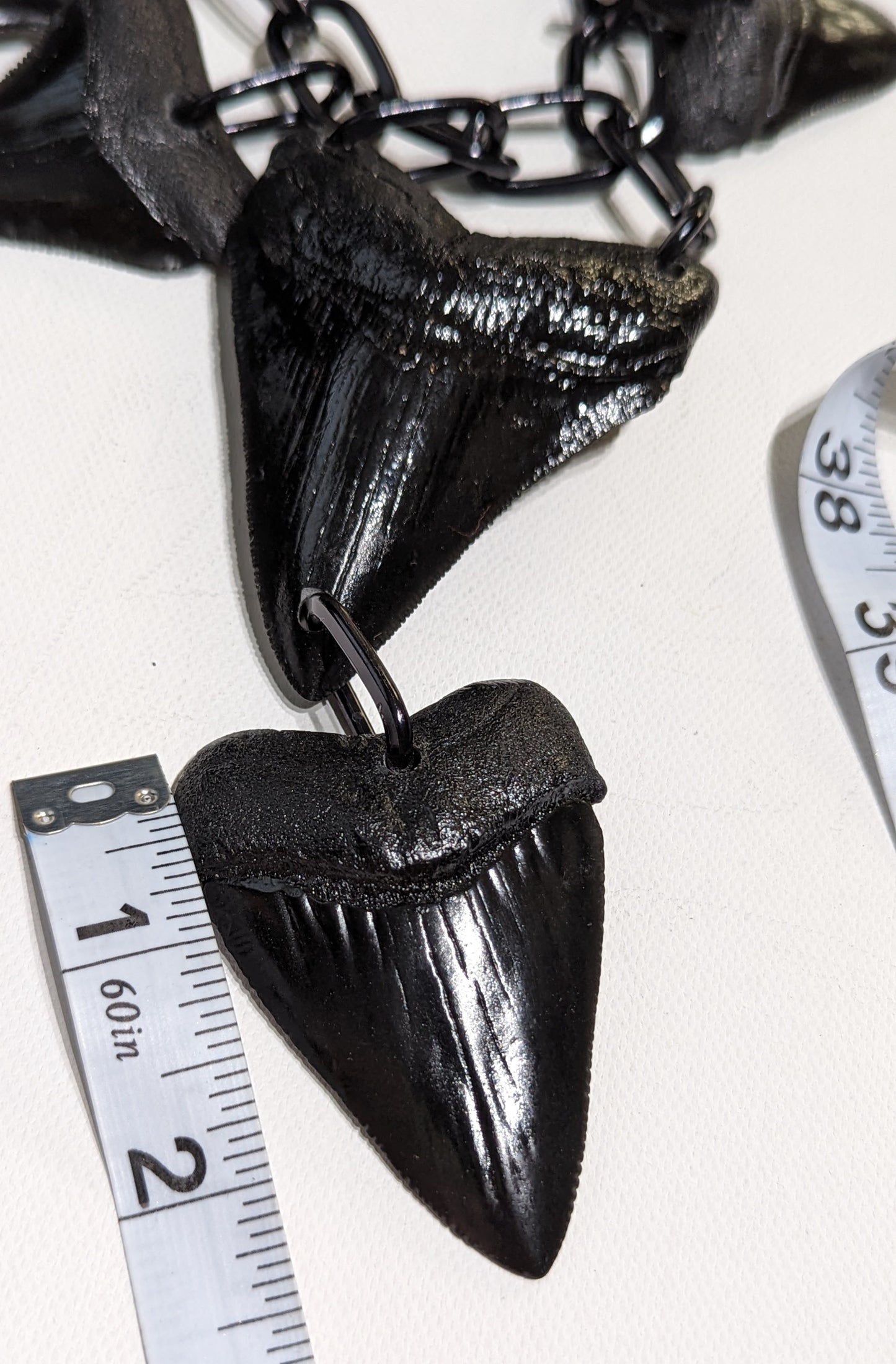 6 Black Shark Tooth Fossil Replicas Necklace Unisex Statement Sugar Gay Isber Statement