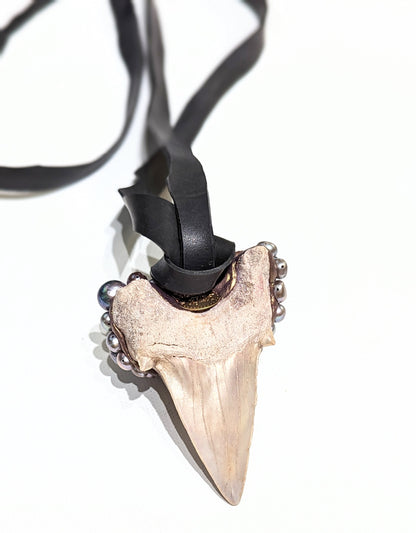 Silver Grey Purple Pearls on a Real Shark Angustiden Tooth Fossil Necklace Pearls Unisex Wedding Ocean Dentist Statement Sugar Gay Isber