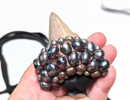 Silver Grey Purple Pearls on a Real Shark Angustiden Tooth Fossil Necklace Pearls Unisex Wedding Ocean Dentist Statement Sugar Gay Isber