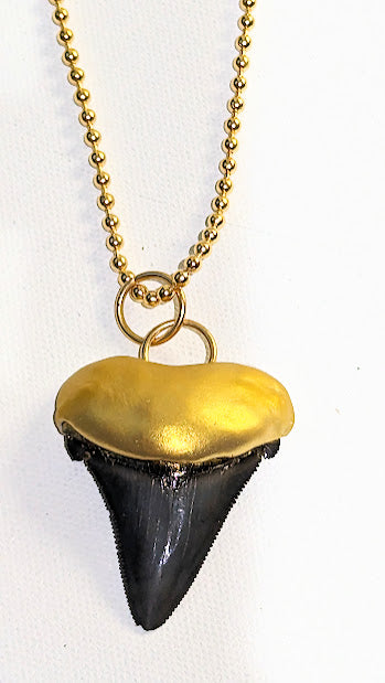 Shark Tooth Necklace found on the Titanic Pendant Gold 34" Ball Chain Unisex Beach Wedding