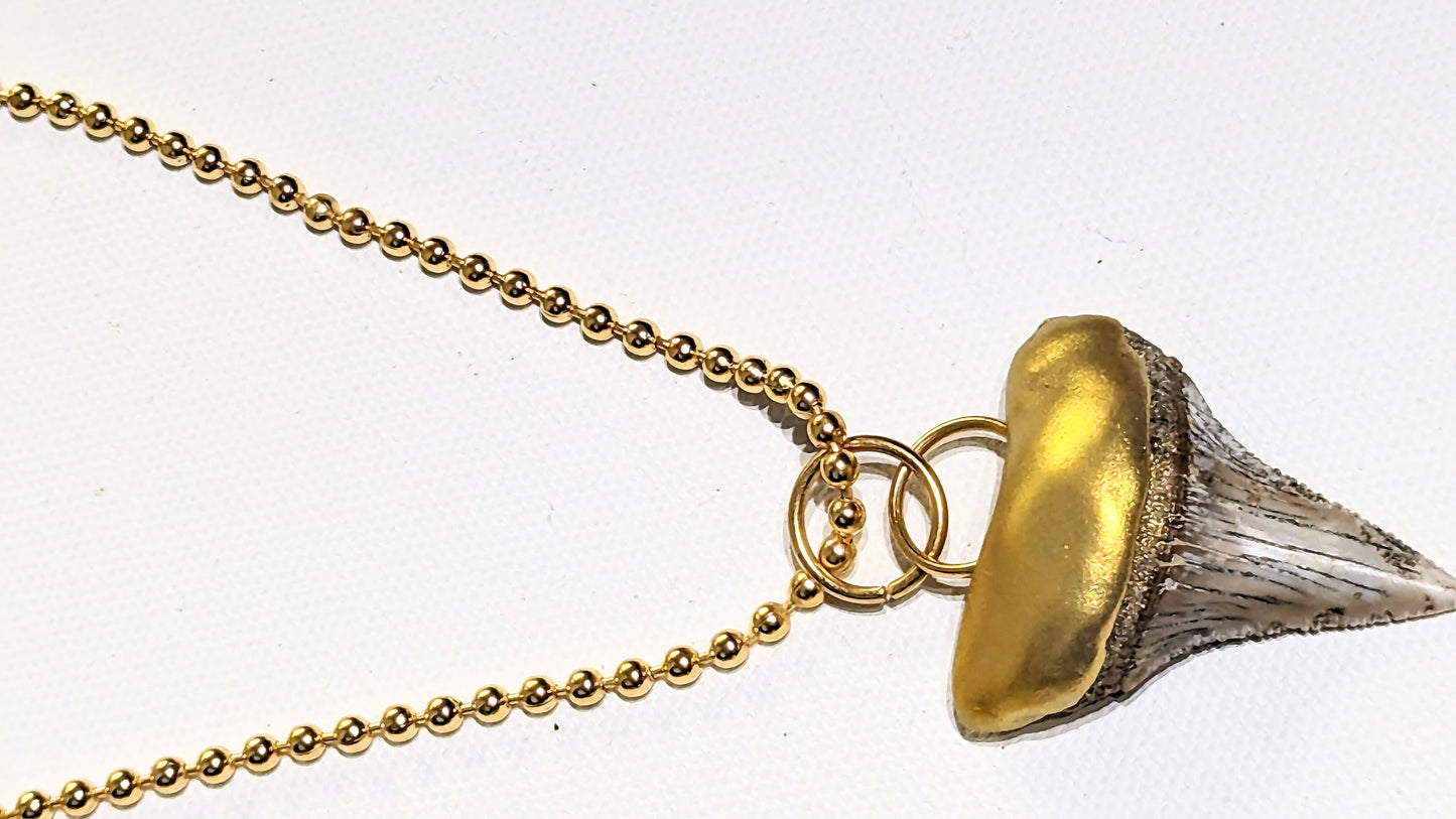 Shark Tooth Necklace found on the Titanic Pendant Gold 34" Ball Chain Unisex Beach Wedding