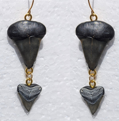 Double Stacked Fossilized Shark Teeth Designed Hand Made by Award-Winning Artist Sugar Gay Isber