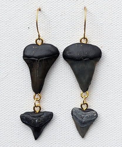 Double Stacked Fossilized Shark Teeth Designed Hand Made by Award-Winning Artist Sugar Gay Isber