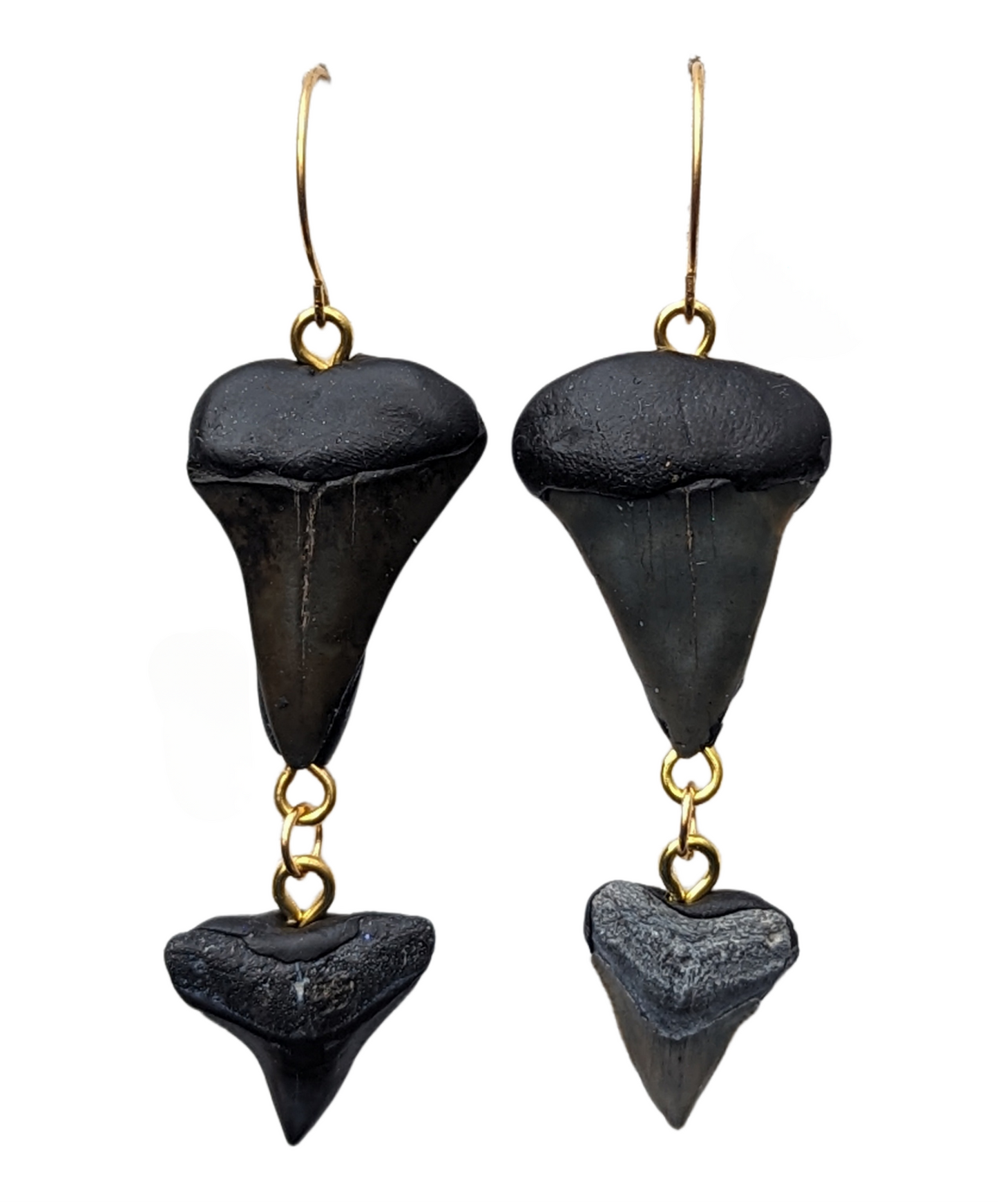 Double Stacked Fossilized Shark Teeth Designed Hand Made by Award-Winning Artist Sugar Gay Isber