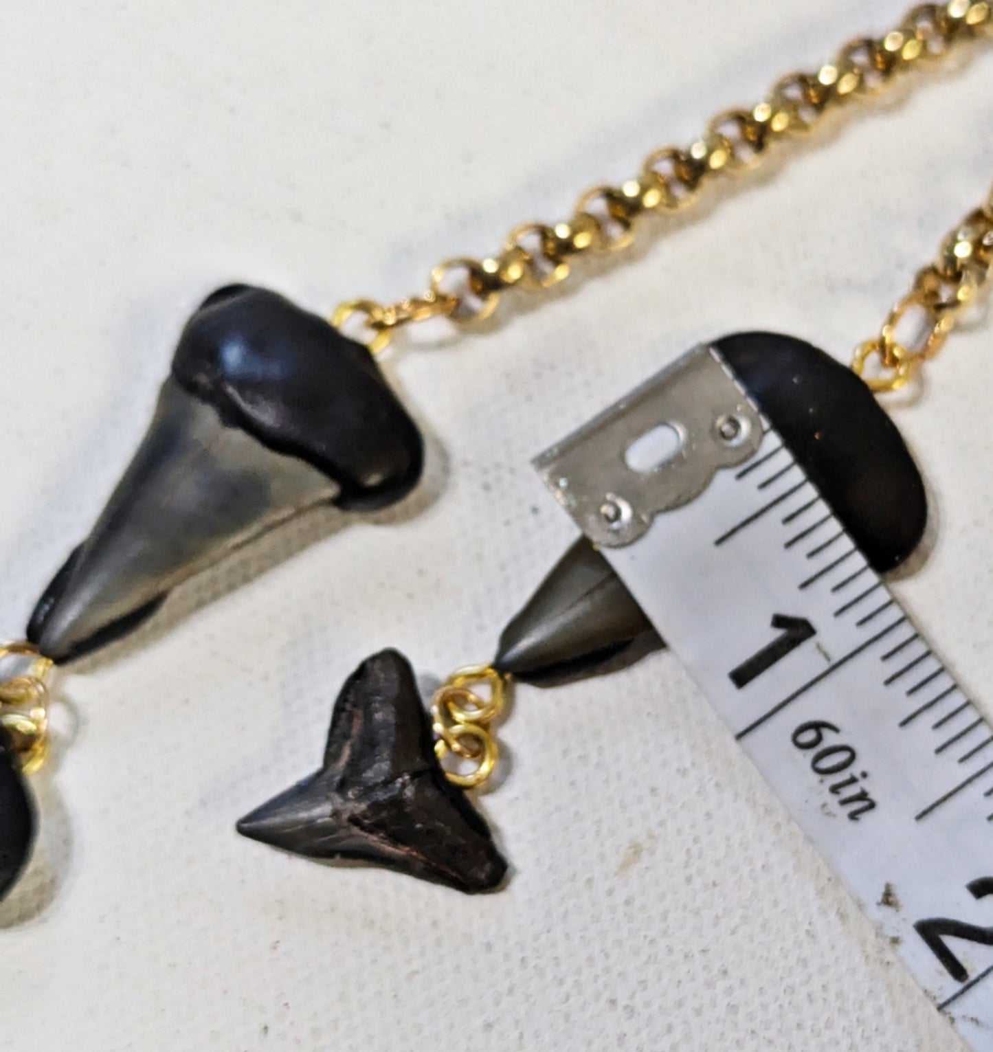 Black Shark Tooth Fossil Lariat Style Gold Necklace Beach Wedding Ocean Dentist Statement Sugar Gay Isber