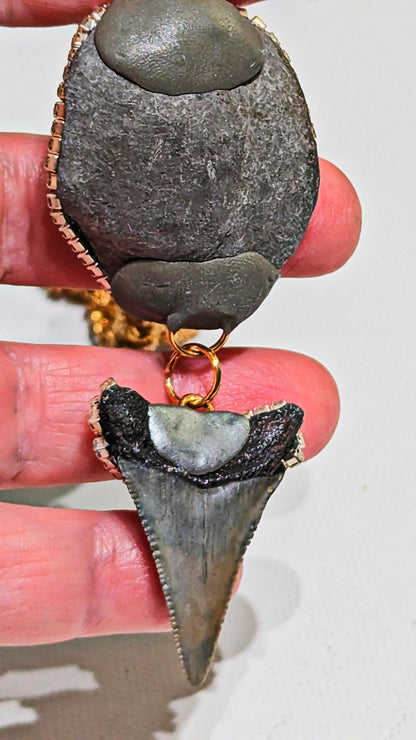 Real Shark Tooth Fossil Grey with Pleuroceras negative ammonite pyrite Iced Necklace Unisex Statement Gay Isber 22" byzantine chain Necklace