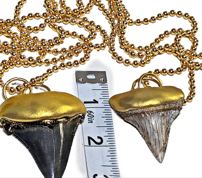 Shark Tooth Necklace found on the Titanic Pendant Gold 34" Ball Chain Unisex Beach Wedding