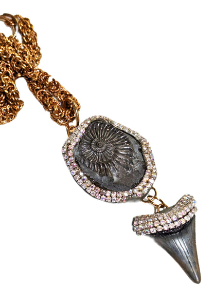 Grey Real Megalodon Shark Tooth+ Ammonite Fossil Pendant Unisex Beach Wedding Ocean Dentist Statement Sugar Gay Isber