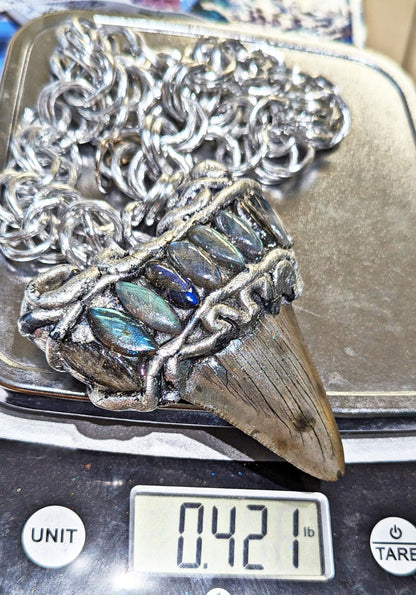 Silver Grey Real Shark Tooth Fossil Necklace Labradorite Unisex Beach Wedding Ocean Dentist Statement Gay Isber