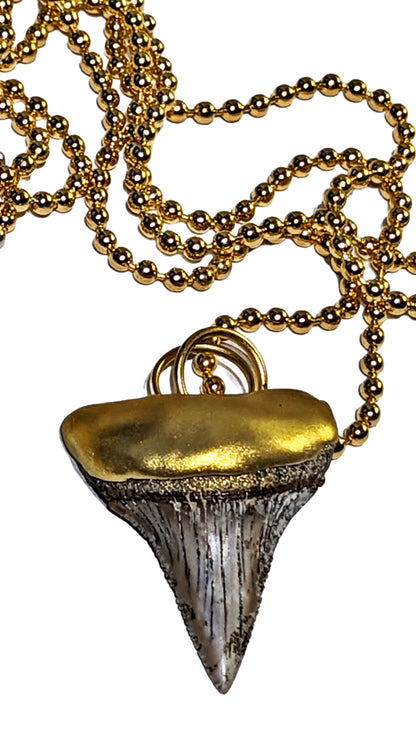 Shark Tooth Necklace found on the Titanic Pendant Gold 34" Ball Chain Unisex Beach Wedding