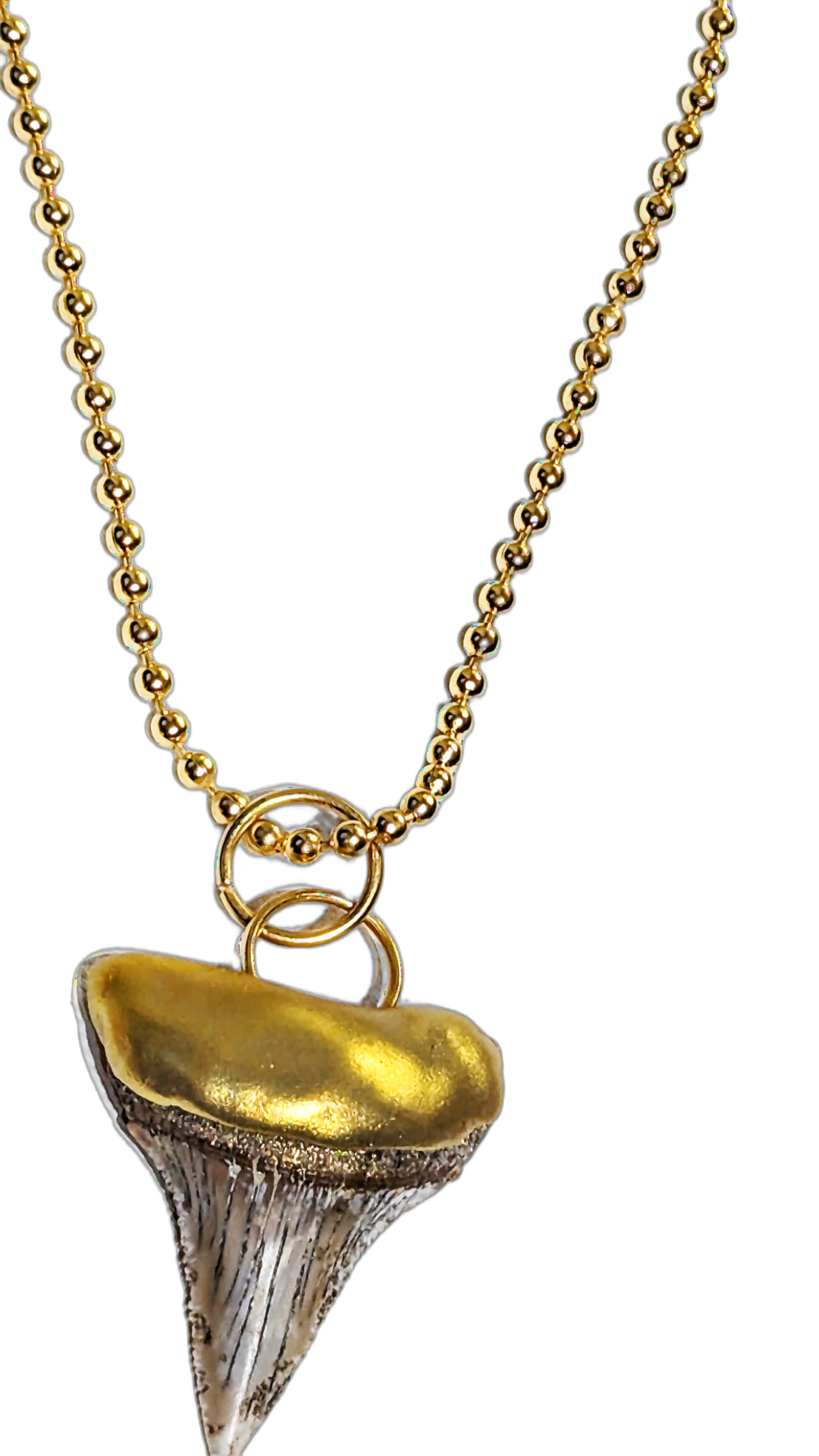 Shark Tooth Necklace found on the Titanic Pendant Gold 34" Ball Chain Unisex Beach Wedding