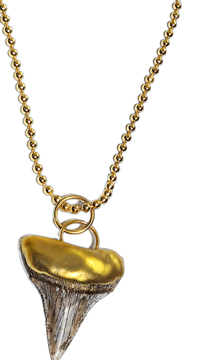 Shark Tooth Necklace found on the Titanic Pendant Gold 34" Ball Chain Unisex Beach Wedding