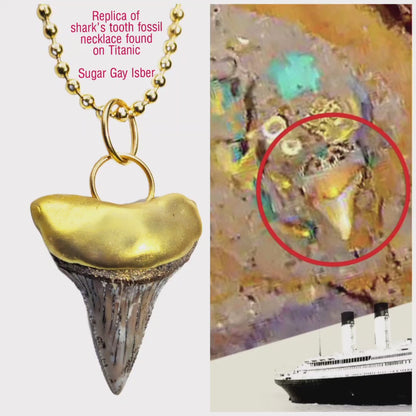 Shark Tooth Necklace found on the Titanic Pendant Gold 34" Ball Chain Unisex Beach Wedding