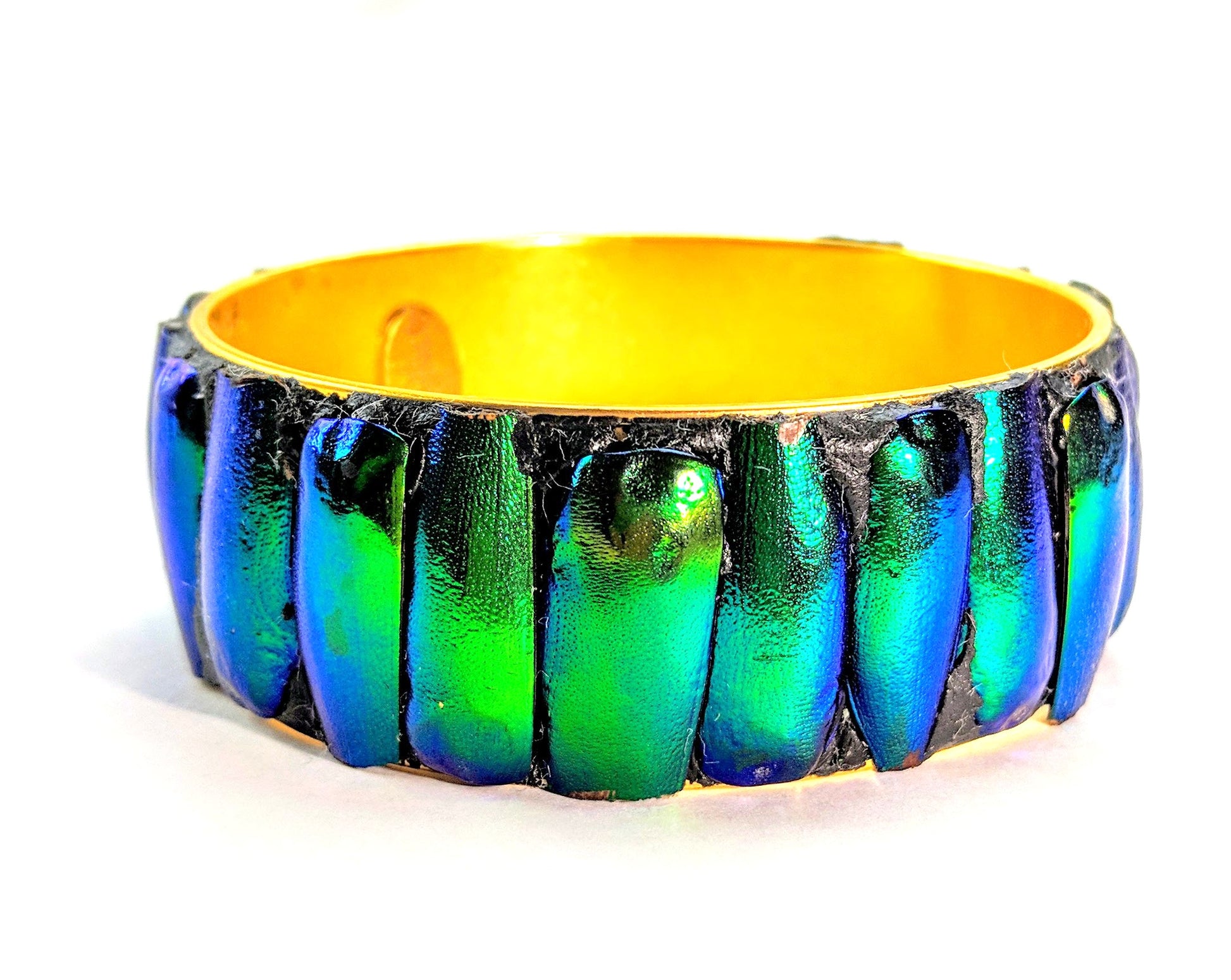 Green Beetle Wing Bangle Bracelet Bug One of a Kind Art Gay Isber Be noticed!-Gay Isber Designs